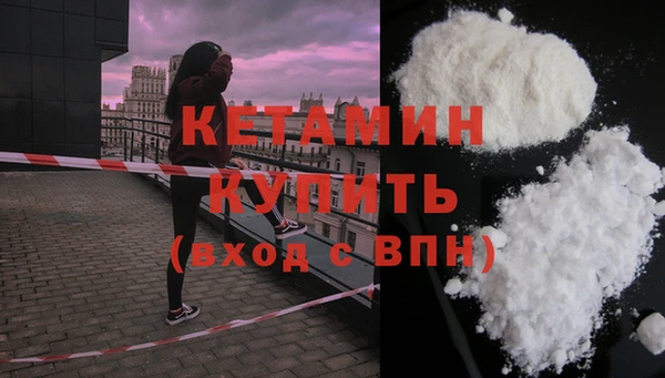 крисы Алексин