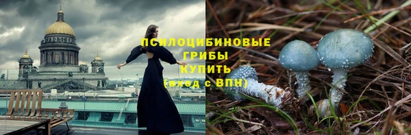 сатива Алексеевка