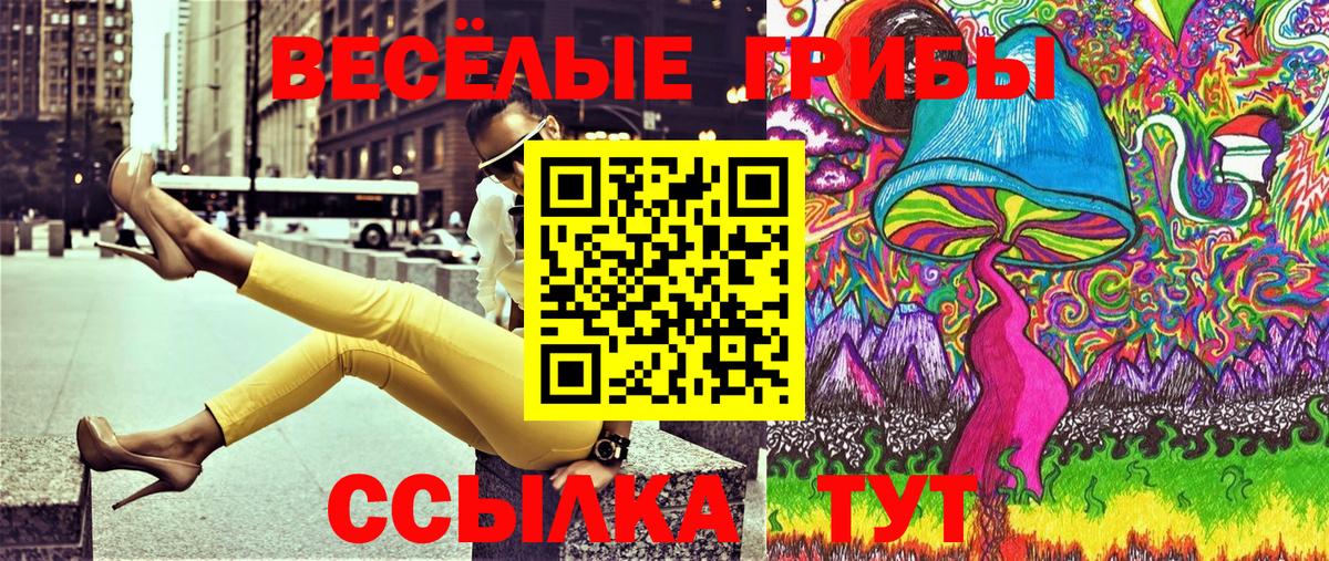 Симферополь  Псилоцибиновые грибы Psilocybe  Вход с VPN  Галлюциногенные грибы GOLDEN TEACHER 